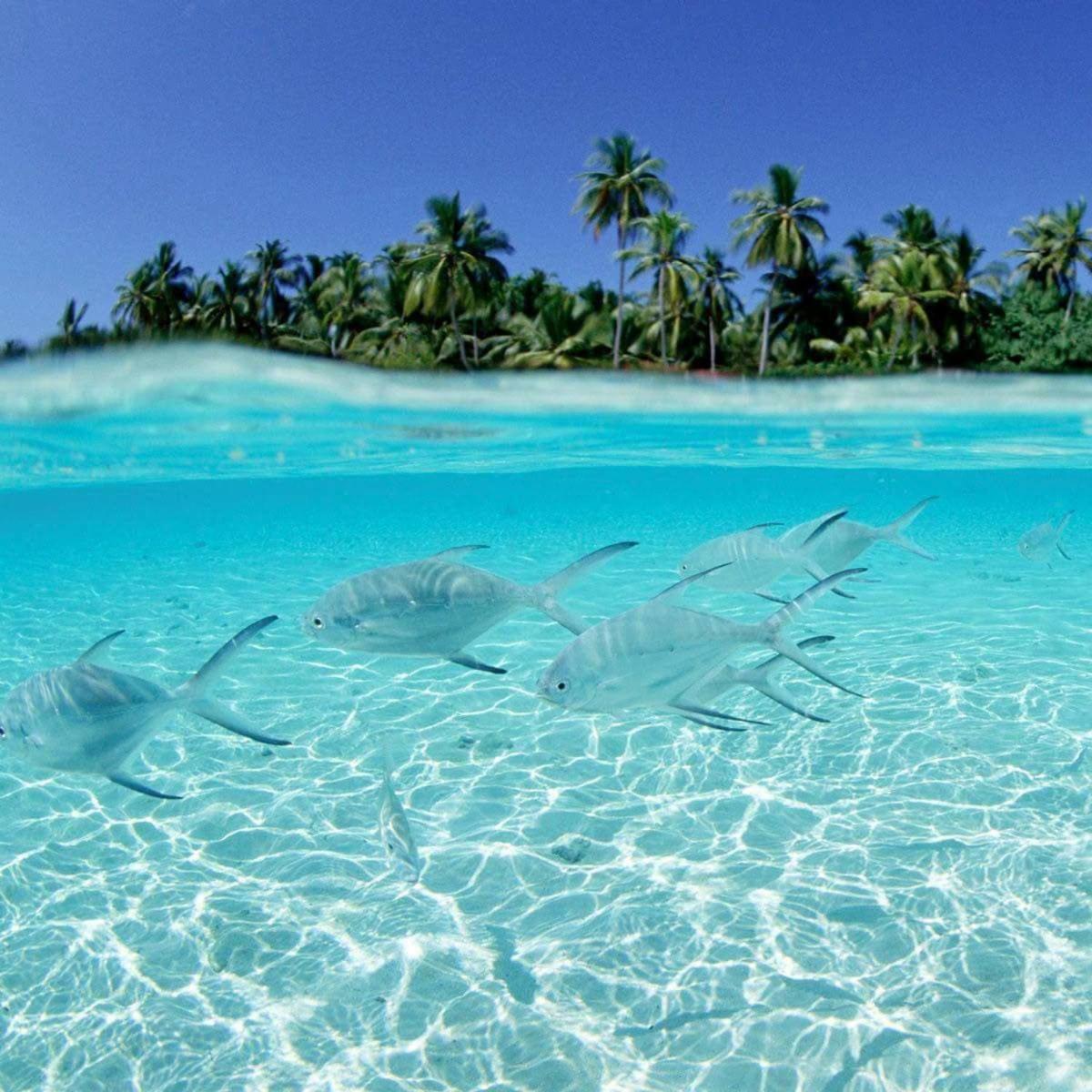 Punta Cana Sol Caribe Beach Pool 外观 照片